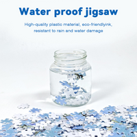 PS plastic puzzle